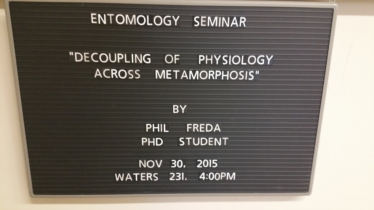 Seminar Presentation