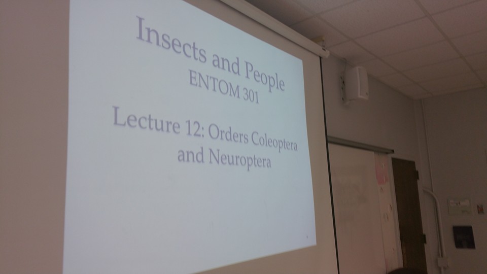 14463141_1190659204329339_446273940109152827_n